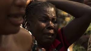 305221902_404786371801692_7926520149486779843_n