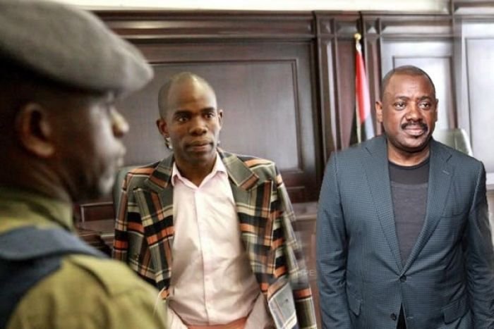 tanaice-neutro-tomas