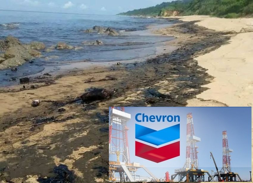 chevron