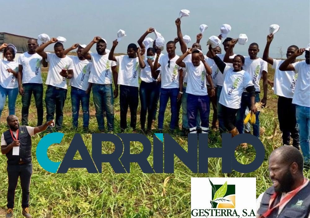 cooperativa Quizenga