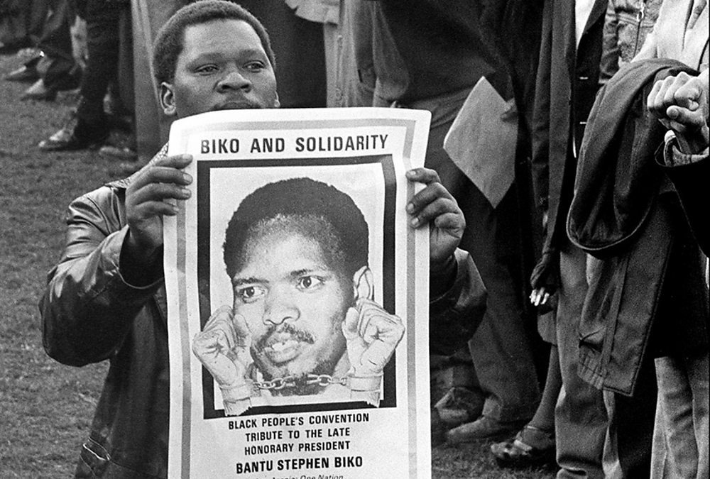 steve biko