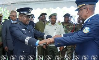 Ribas e Altino