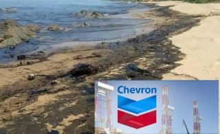 chevron